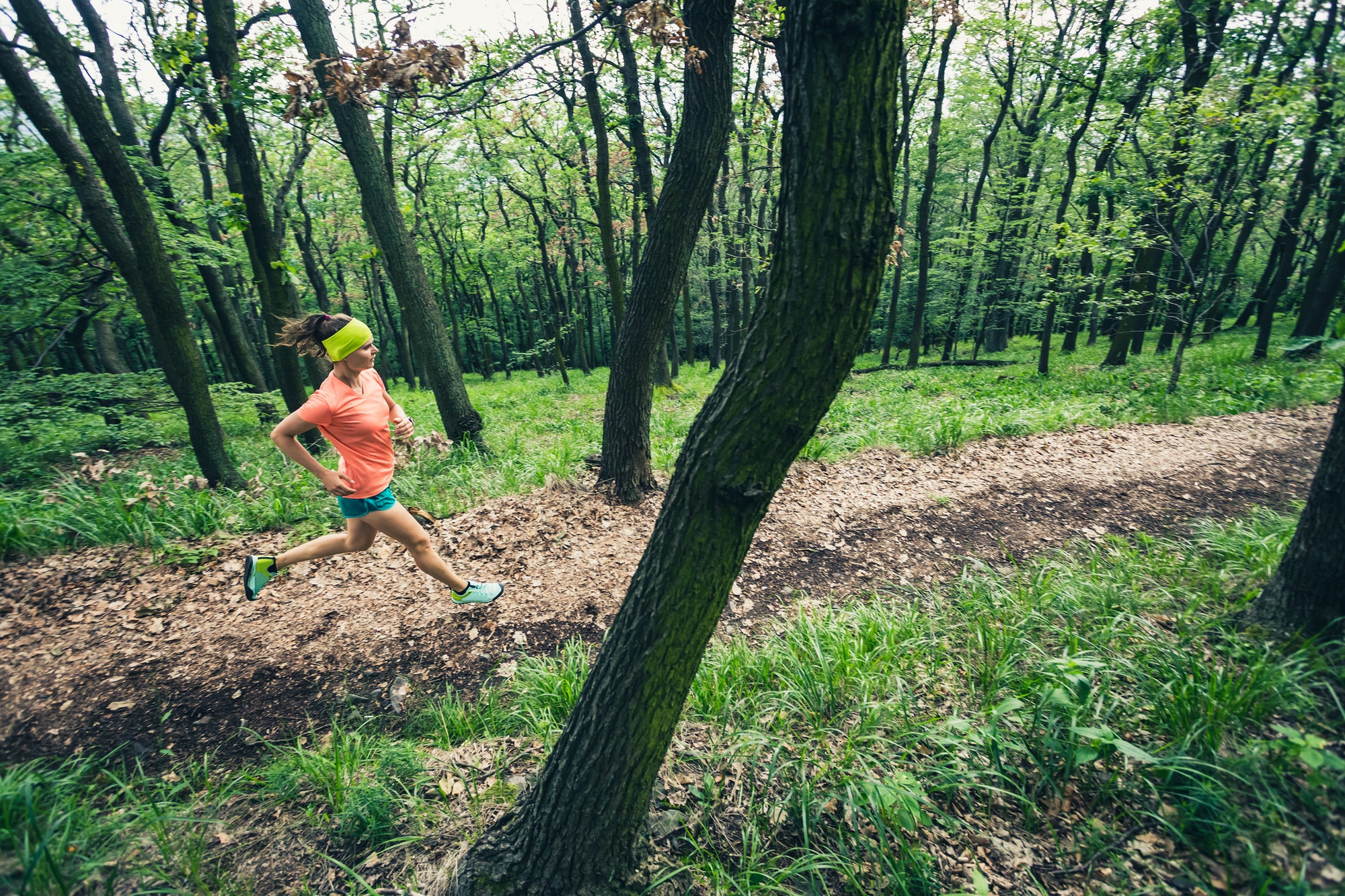 Pourquoi pratiquer l’endurance ?