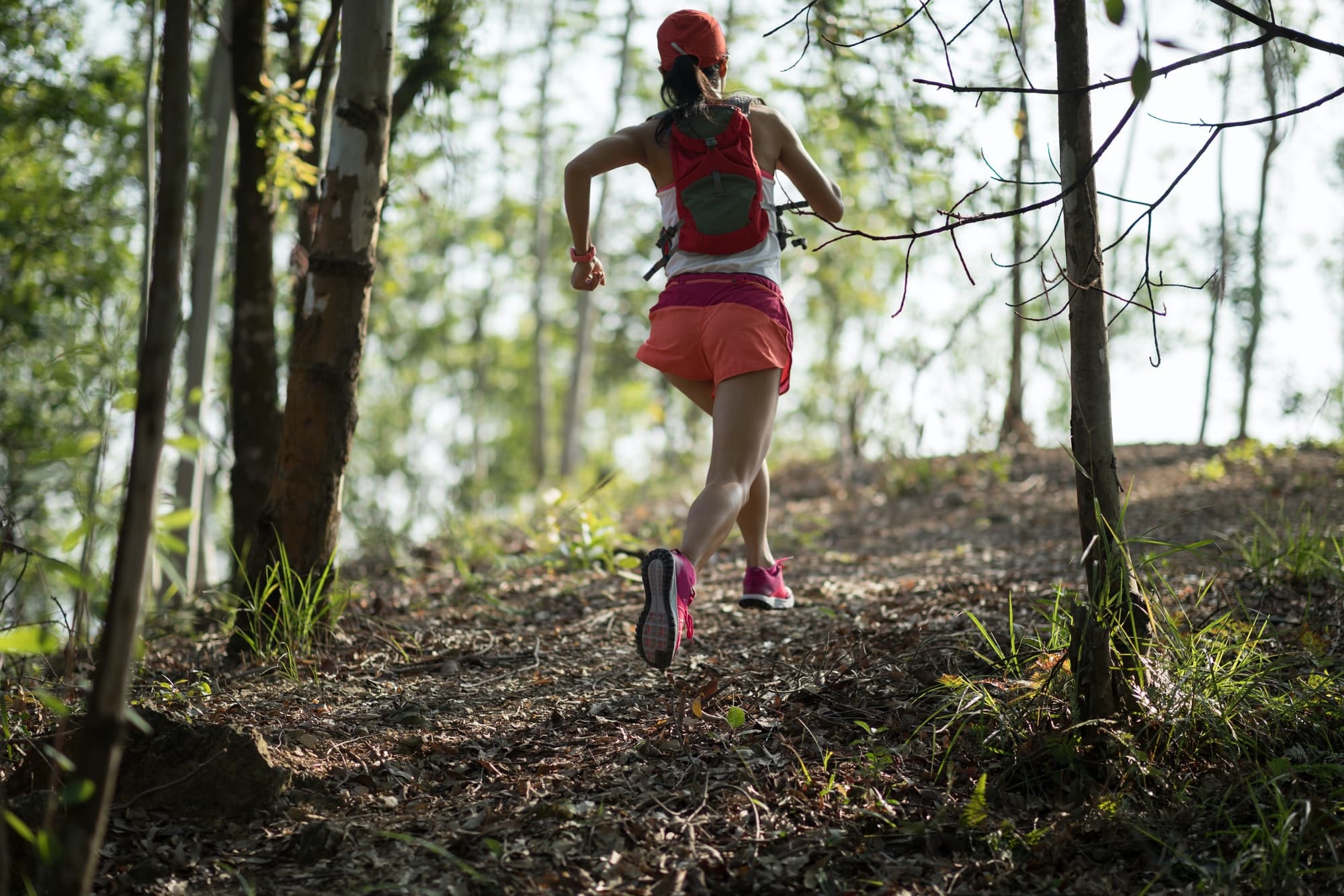 Votre immersion dans le stage trail à Chamonix